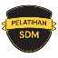 Pelatihan SDM
